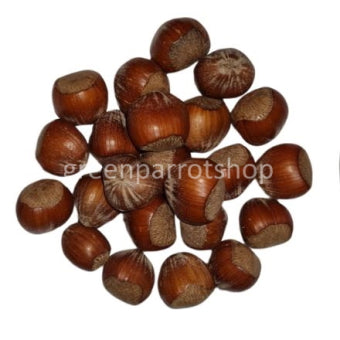 close-up-hazelnoot-in-dop-vitamine-e