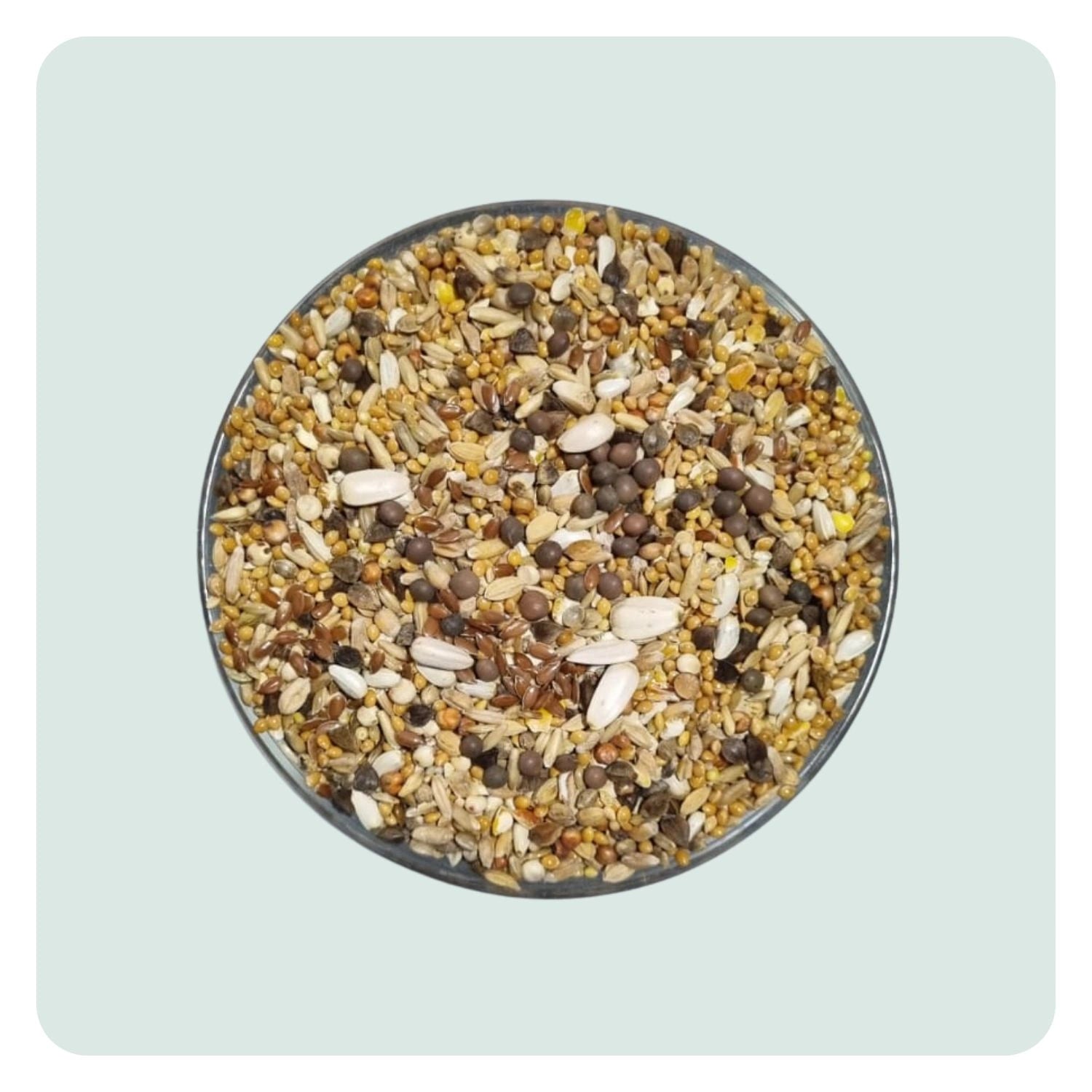 Kakariki basis zadenmengeling met millet, kanariezaad, wikke en lijnzaad | Greenparrotshop
