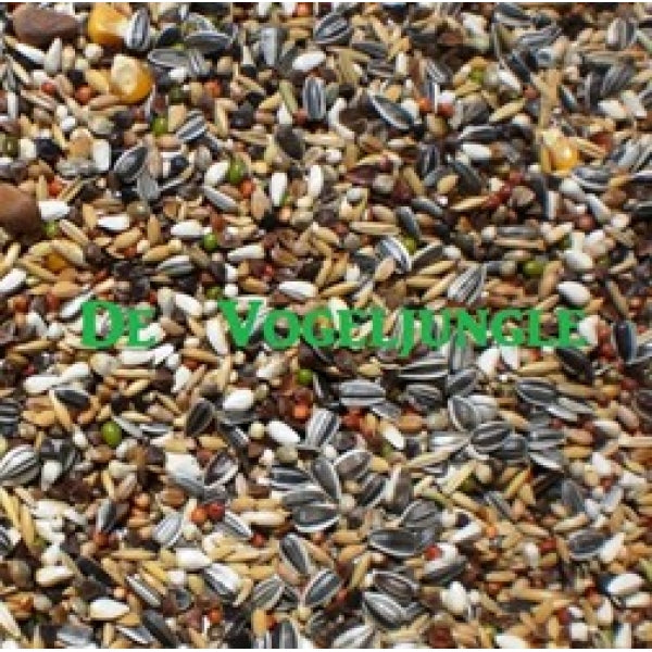Greenparrotshop