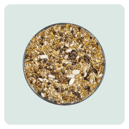 Kleine papegaai basis zadenmengeling met wikke, dari en zonnebloempitten | Greenparrotshop