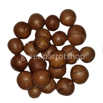 close-up-macadamia-in-dop-gekrakt