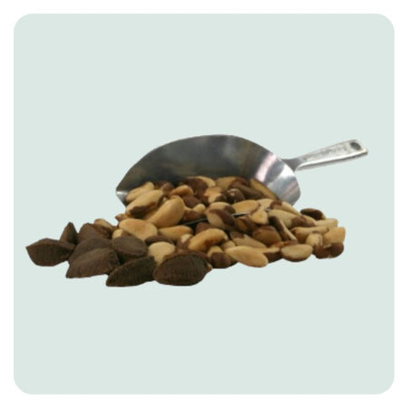 paranoten-in-dop-en-geschild=in-een-schep |greenparrotshop