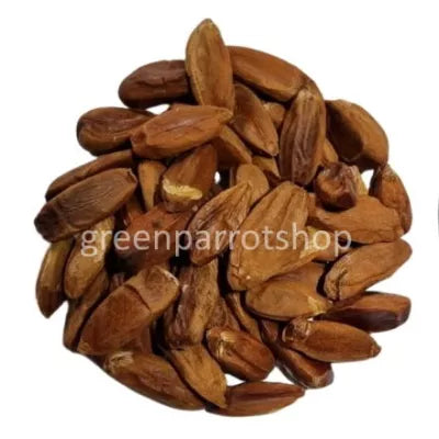 close-up-pili-noot-in-snavel